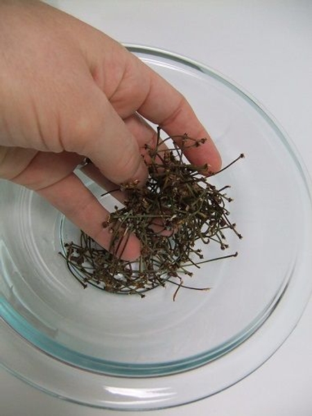 Place a few dried twigs in a bowl Place a few dried twigs in a bowl