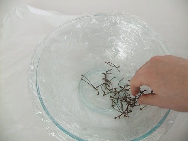 Place the twigs in a round bowl Place the twigs in a round bowl
