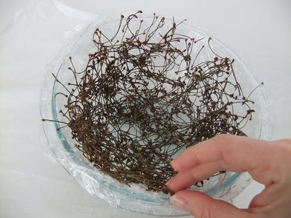 Stack the twigs up the side of the bowl Stack the twigs up the side of the bowl
