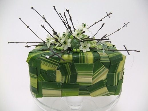 Star of Bethlehem and brussel sprout ad twig Christmas gift design Star of Bethlehem and brussel sprout ad twig Christmas gift design
