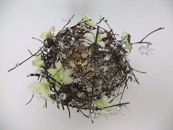 Twig and Dendrobium orchid Christmas design Twig and Dendrobium orchid Christmas design