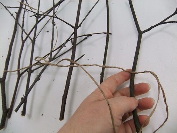 And another twig And another twig