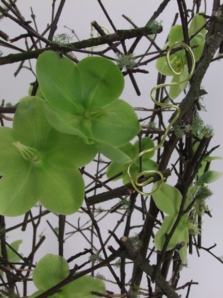 Hellebores, moss and stick design Hellebores, moss and stick design