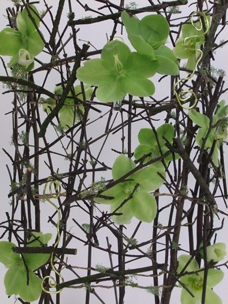 Hellebore and moss on twigs. Hellebore and moss on twigs.
