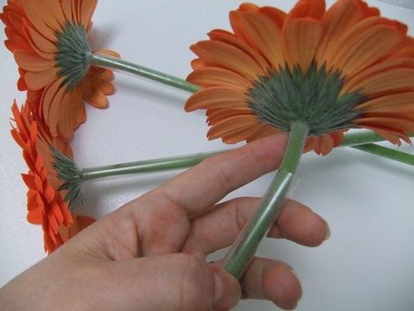 Plastic drinking straws can offer support to fragile stems. Plastic drinking straws can offer support to fragile stems.