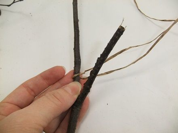 Slip a twig into the fold. Slip a twig into the fold.