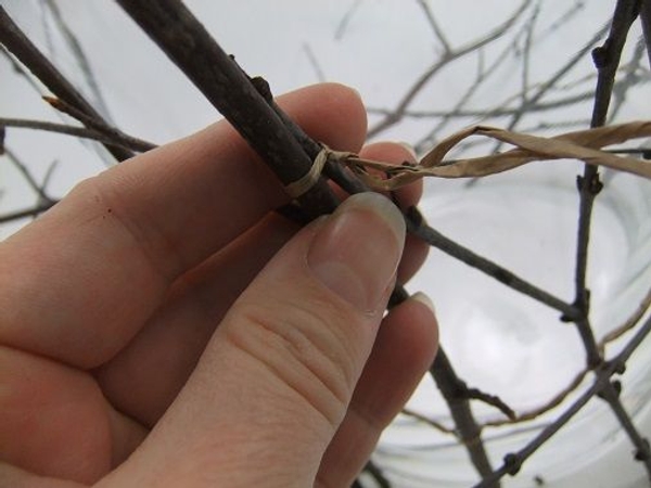 Slip the second wire around a twig and twist to secure Slip the second wire around a twig and twist to secure