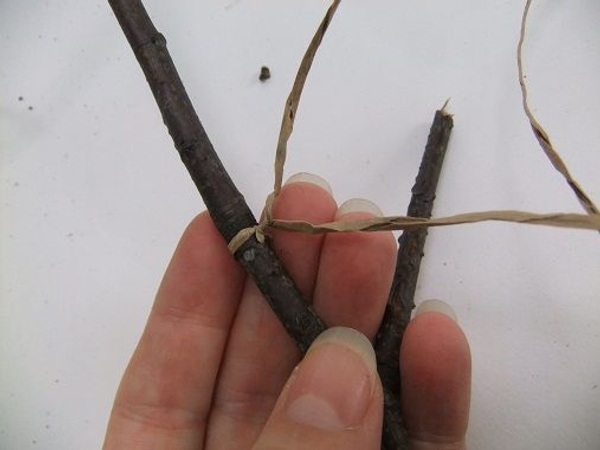 Twist the wire tightly around the twig Twist the wire tightly around the twig