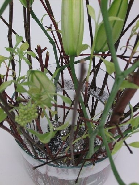 Wax snowflakes and new growth Wax snowflakes and new growth