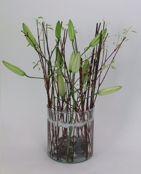 Winter green design Winter green design