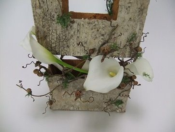 Arum lilies and bark Arum lilies and bark