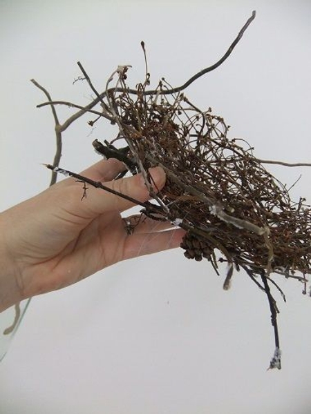 Carefully thread the twig dome through the willow. Carefully thread the twig dome through the willow.