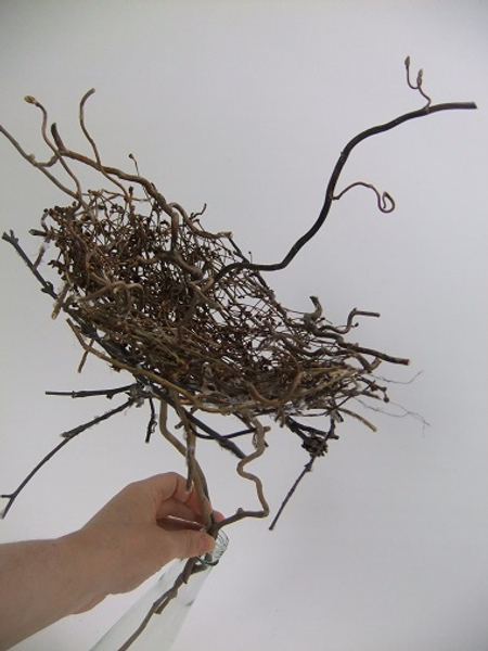 Dried twig nest ready to design with