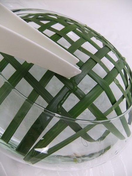 Fill the container with water so that the strands can hydrate Fill the container with water so that the strands can hydrate