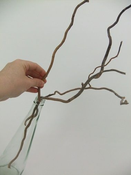 Place a few willow twigs in a upright container Place a few willow twigs in a upright container
