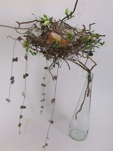 Rosary vine and freesia buds Rosary vine and freesia buds