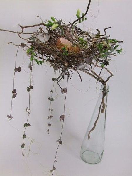 Rosary vine and freesia buds