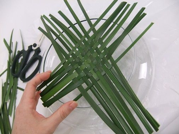 The strands should be cut evenly so that all the strands rest in the water The strands should be cut evenly so that all the strands rest in the water