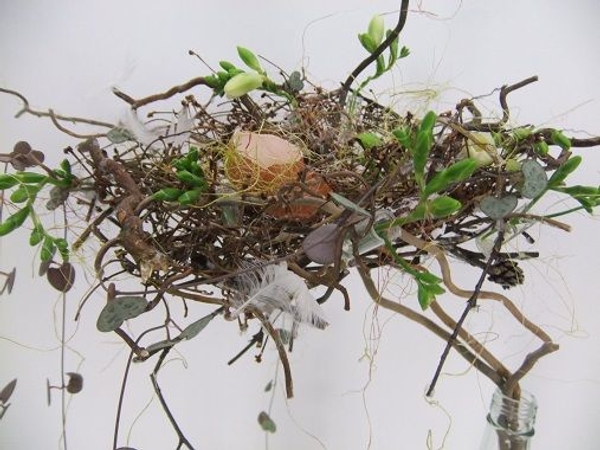 Tight freesia buds. Tight freesia buds.