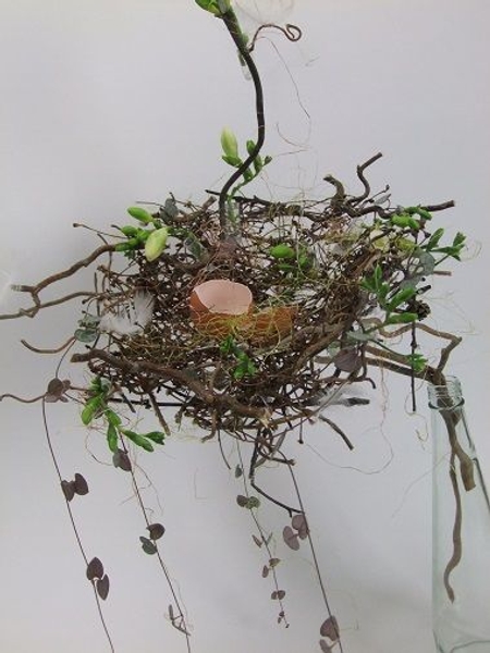 Twig nest Twig nest