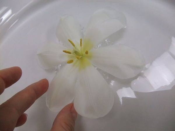 And set it in water to float And set it in water to float