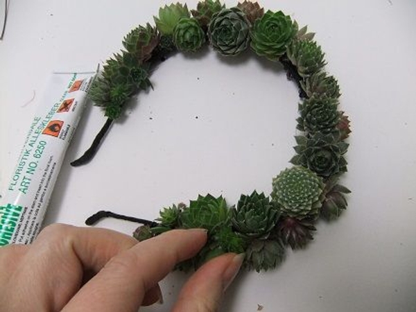 Carefully add more succulents to cover the surface Carefully add more succulents to cover the surface
