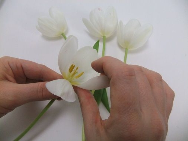Carefully reflex the next petal Carefully reflex the next petal