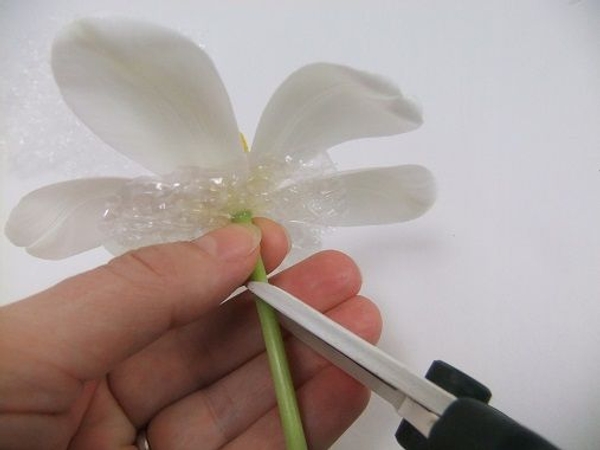 Cut the stem as short as required Cut the stem as short as required