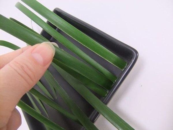 Glue in blades of grass to fill in the gaps Glue in blades of grass to fill in the gaps