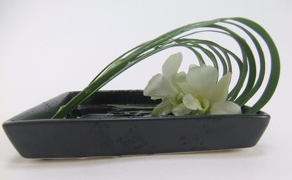 Grass and orchids Grass and orchids