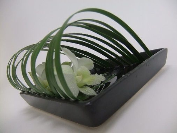 Let the orchid stems rest in the water Let the orchid stems rest in the water