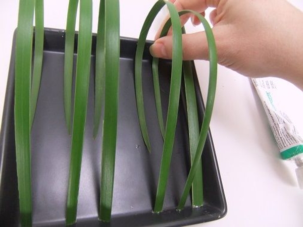 Loop and secure the last blade of grass Loop and secure the last blade of grass