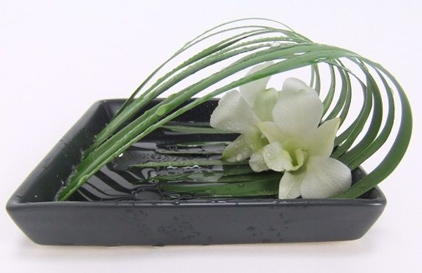 Petrichor floral art design Petrichor floral art design