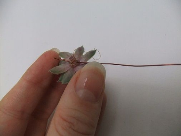 Press a wire through the stem Press a wire through the stem