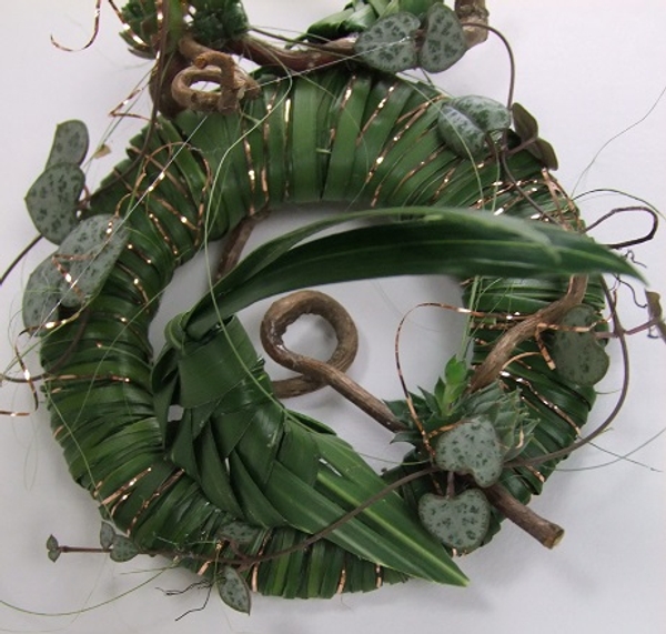 Rosary vine, hazel and palm leaf grasshopper Rosary vine, hazel and palm leaf grasshopper