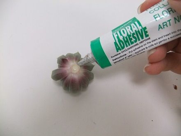Seal the wound with flower glue Seal the wound with flower glue
