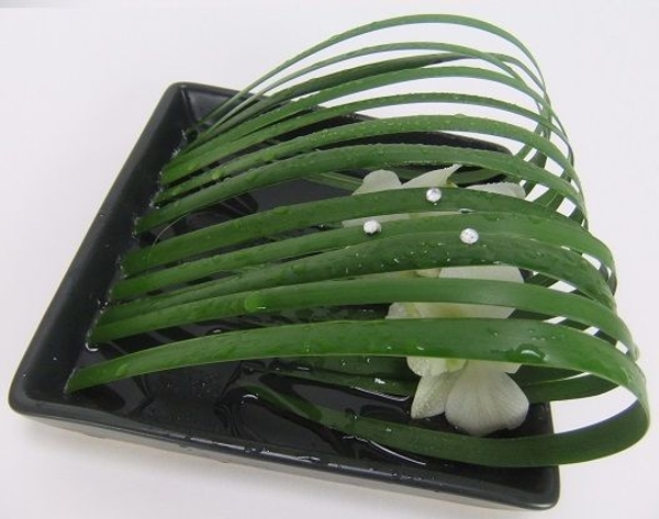 Shallow dish design Shallow dish design