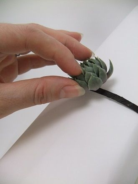 Simply place succulent after succulent on the headband adding glue as you go along Simply place succulent after succulent on the headband adding glue as you go along