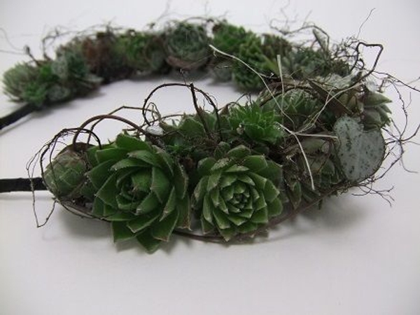 Succulent floral crown Succulent floral crown