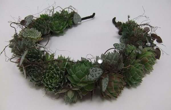 Succulent tiara