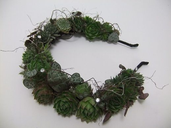 Succulents roots and rosary vine Succulents roots and rosary vine