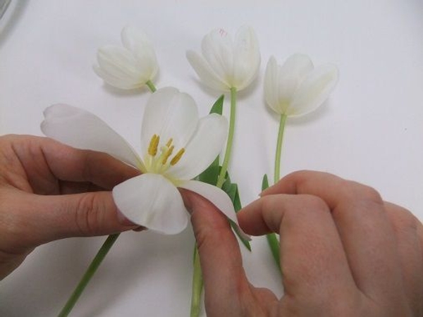 Work your way around the flower Work your way around the flower