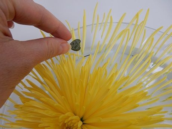 Add a few rosary vine leaves Add a few rosary vine leaves