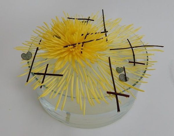 Apricity floral art design.jpg Apricity floral art design.jpg