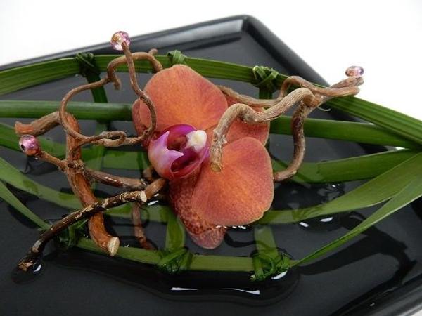 Beaded Hazel twigs Beaded Hazel twigs