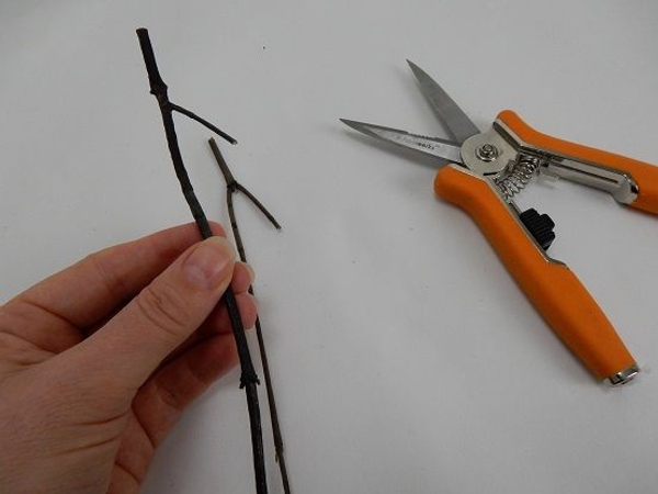 Cut two twigs to create a natural hook.jpg Cut two twigs to create a natural hook.jpg