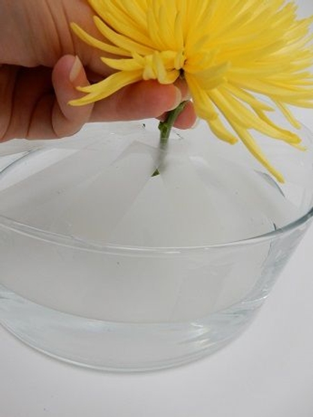 Insert the chrysanthemum in an opening in the tape Insert the chrysanthemum in an opening in the tape