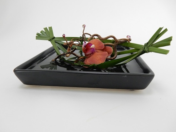 Phalaenopsis orchid, palm leave and hazel twigs Phalaenopsis orchid, palm leave and hazel twigs