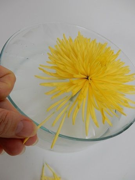 Place a the petals neatly Place a the petals neatly