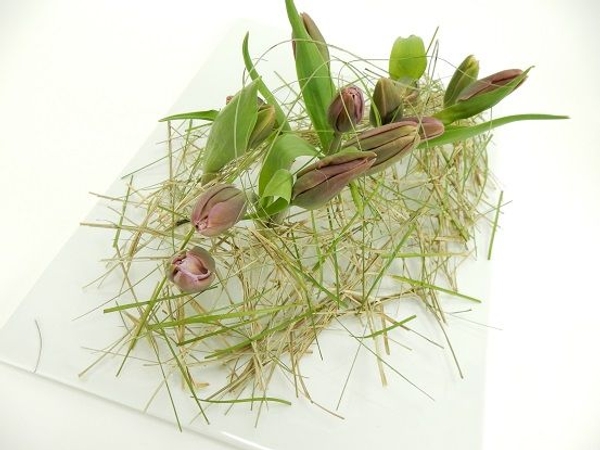 Ripped grass and tulip design. Ripped grass and tulip design.